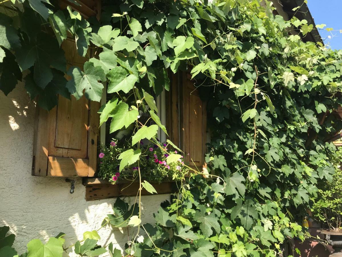 Tante Berg B&B Bad Vilbel Buitenkant foto